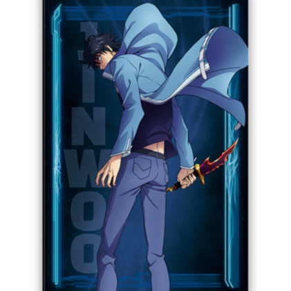 SOLO LEVELING - Standard Magnet - Jinwoo