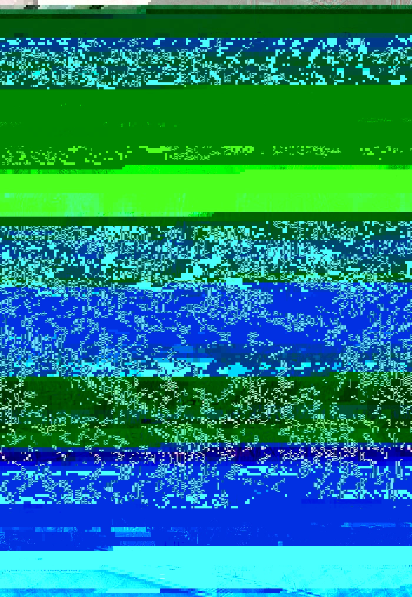 Vorderseite 9783770491674 f13df8f540274d6cf8484f5c1664c7b2