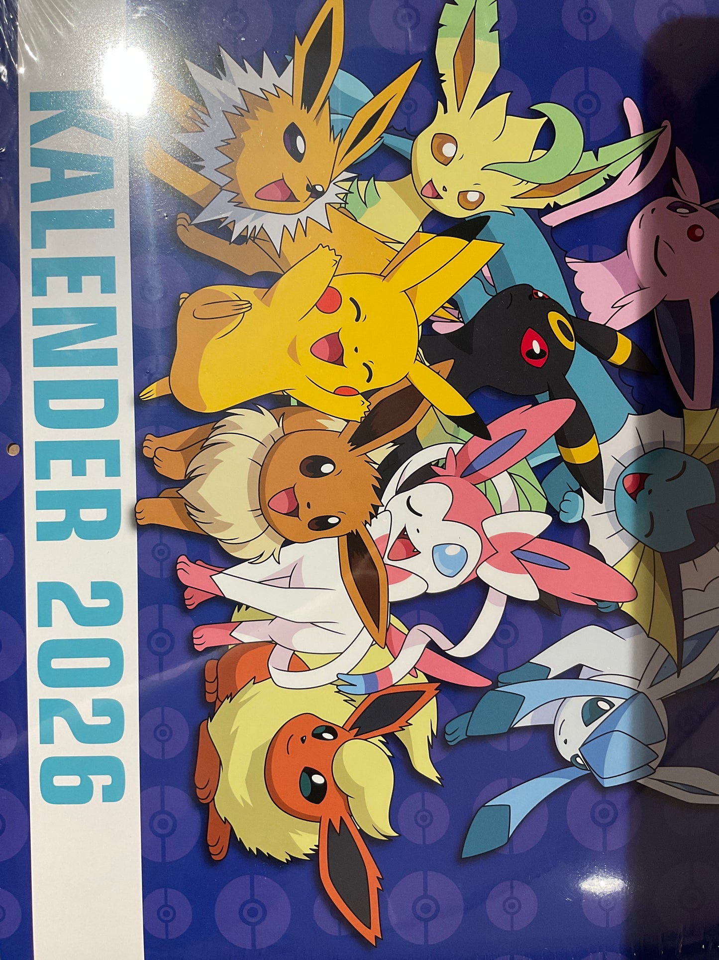 Pokémon Kalender 2026