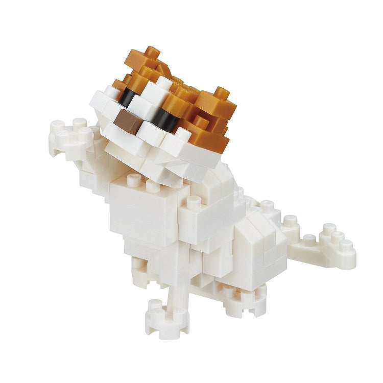 Scottish Fold Katze - Mini series Cat breed NANOBLOCK - NBC-268