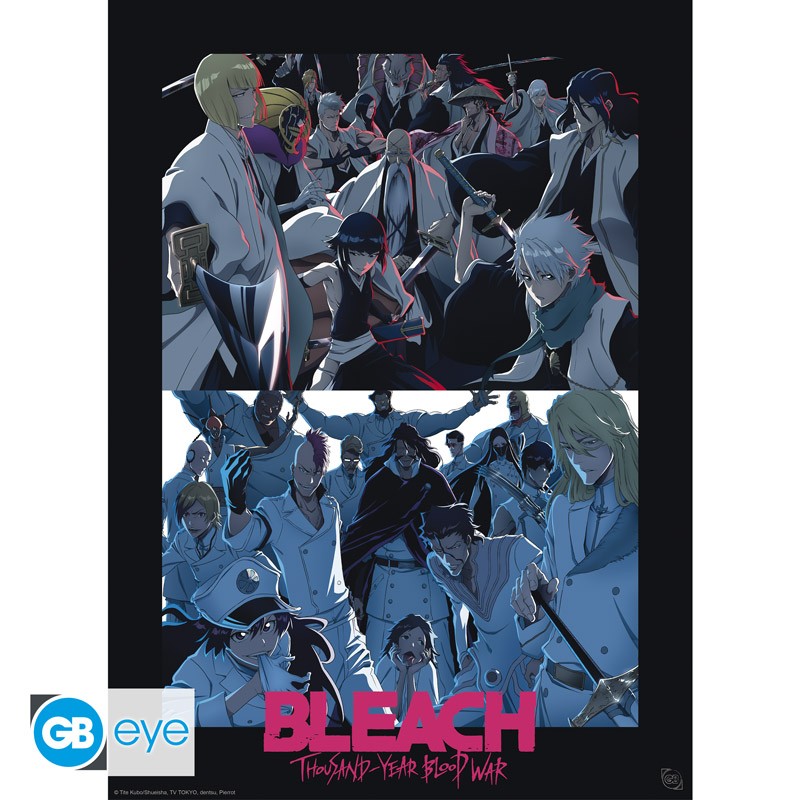 Shinigami vs. Quincy - Bleach - Maxi Poster - AbyStyle